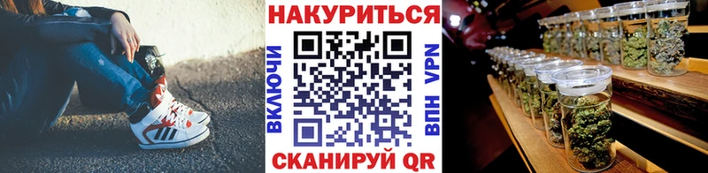 Купить где  Торопец  Шишки марихуана THC 21% 